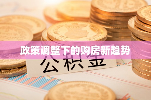 湖西政策调整下的购房新趋势